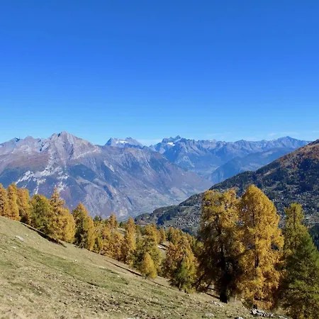 With Valley-views * Nendaz