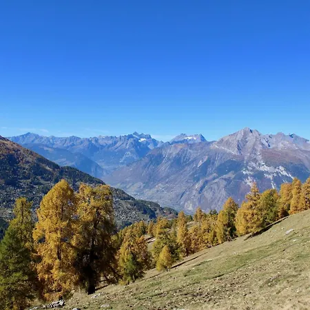 With Valley-views * Nendaz